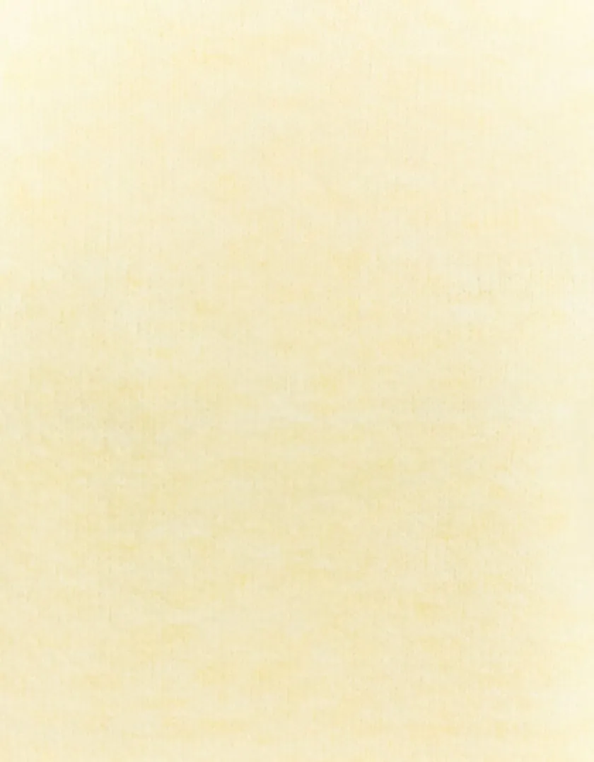 Maglione Corto Basico Giallo  