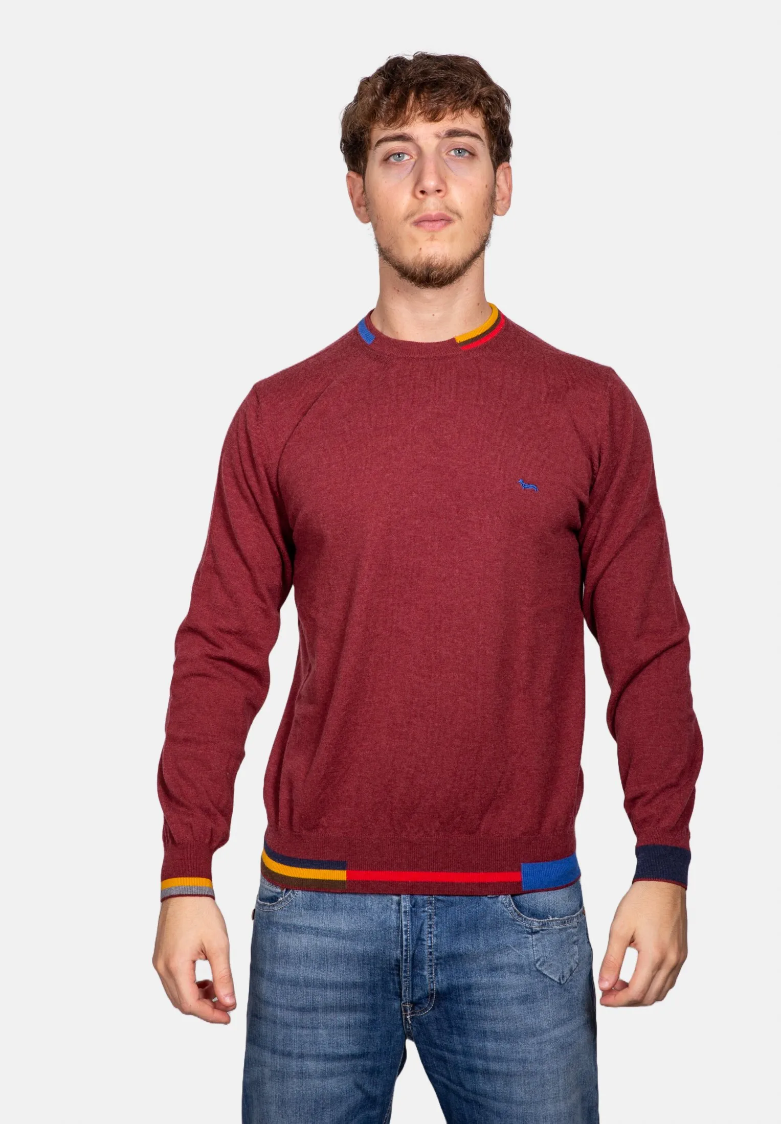 RIFINITURE A CONTRASTO  - Maglione