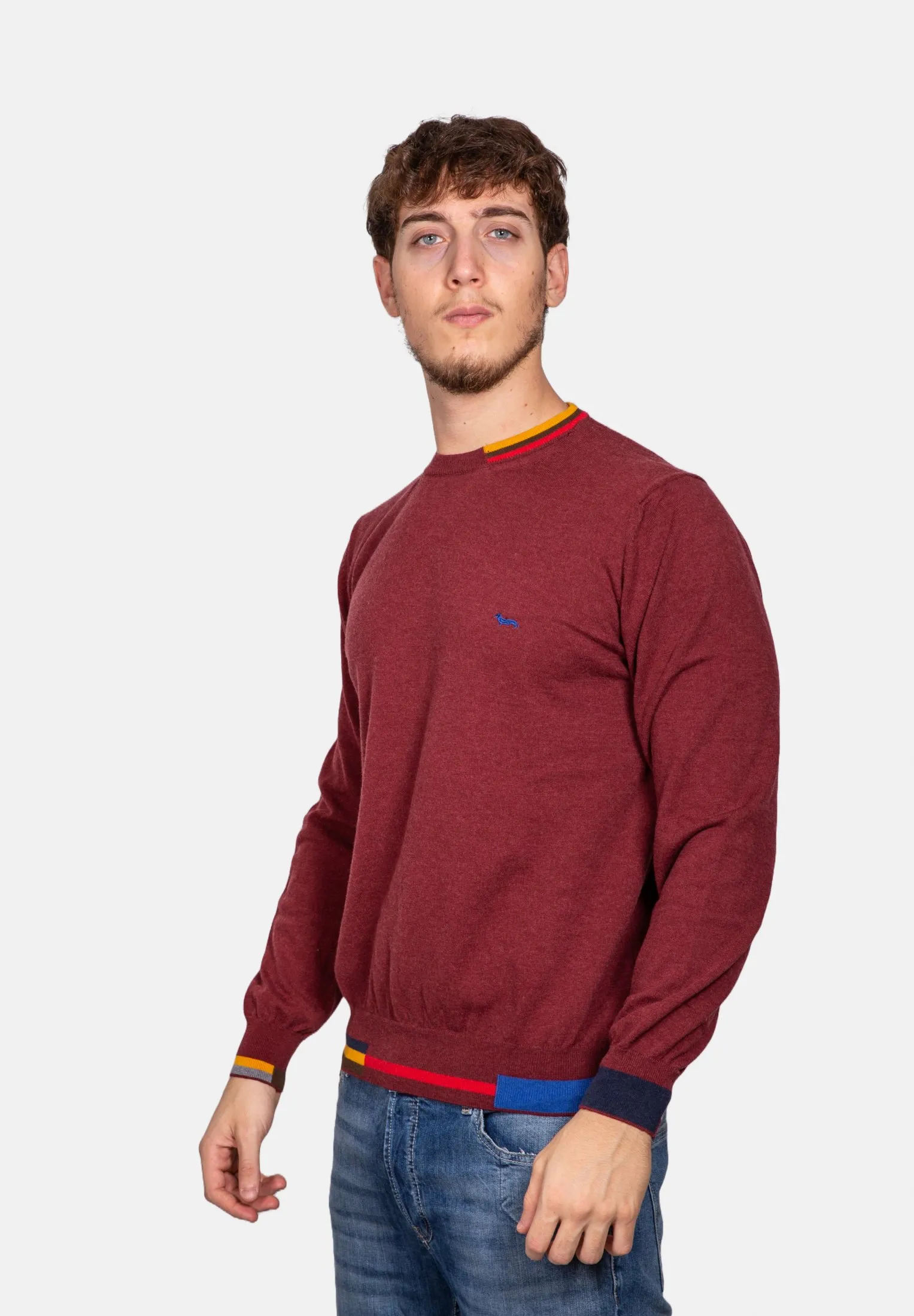 RIFINITURE A CONTRASTO  - Maglione